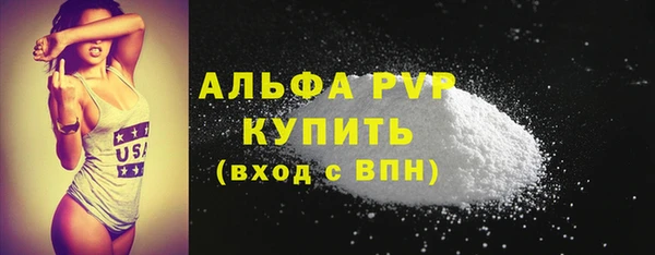 стаф Арсеньев