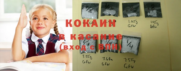 гидра Аркадак