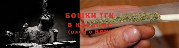 гидра Аркадак
