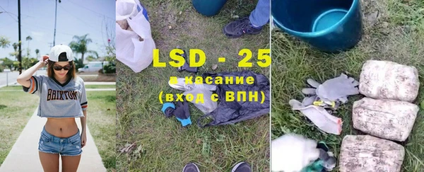 гидра Аркадак