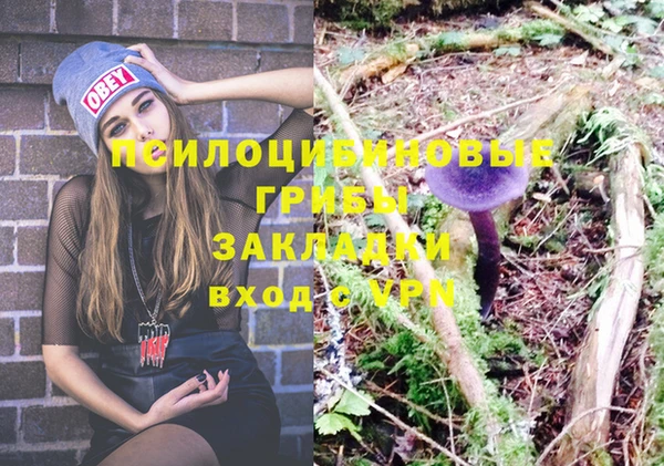стаф Арсеньев