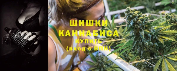 стаф Арсеньев