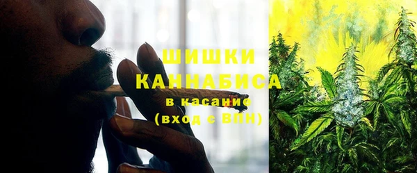 гидра Аркадак