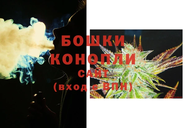гидра Аркадак